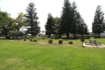 a park with picnic tables and trees at Monte Bello Apartments, Sacramento, California